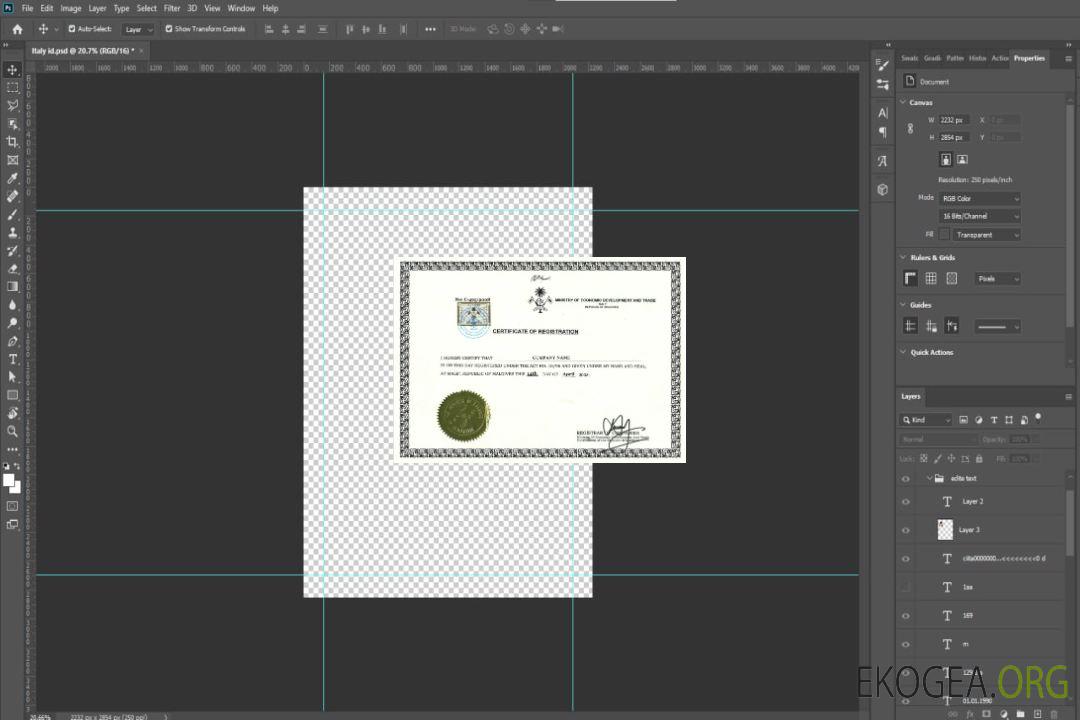 Certificat d'enregistrement des Maldives template Certificat d'enregistrement des Maldives template